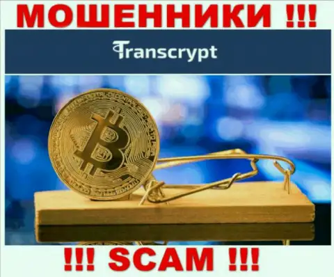 Не угодите в лапы мошенников TransCrypt, не отправляйте дополнительные деньги