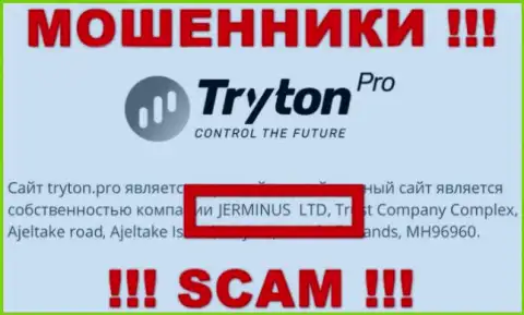 Сведения о юридическом лице Тритон Про - им является компания Jerminus LTD
