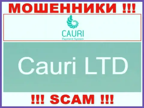 Не ведитесь на информацию о существовании юридического лица, Каури Ком - Cauri LTD, все равно ограбят
