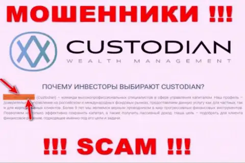 Юридическим лицом, владеющим мошенниками Кустодиан, является ООО Кастодиан