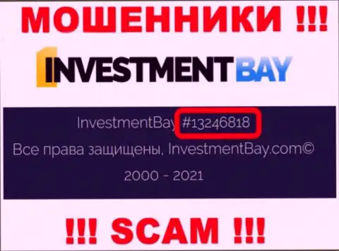 Номер регистрации, под которым зарегистрирована организация Investmentbay LTD: 13246818