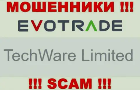 Юридическим лицом EvoTrade Com считается - TechWare Limited