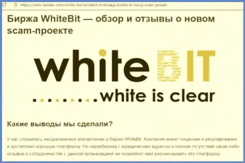 White Bit - это организация, взаимодействие с которой доставляет только убытки (обзор неправомерных деяний)