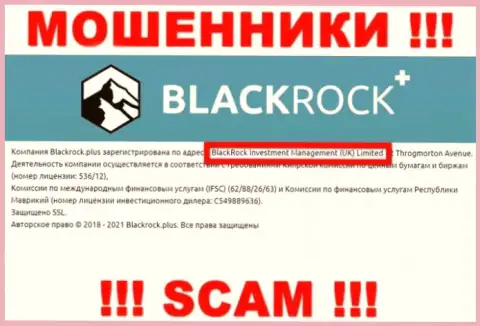 Руководителями BlackRock Plus является компания - BlackRock Investment Management (UK) Ltd