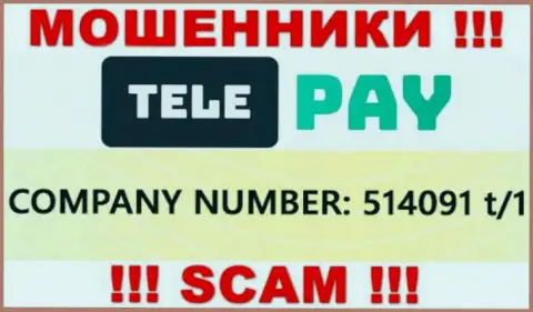 Номер регистрации Теле Пай, который предоставлен мошенниками на их веб-ресурсе: 514091 t/1