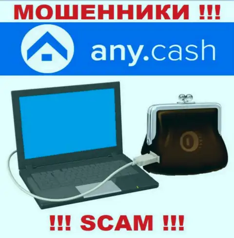 Any Cash - это МАХИНАТОРЫ, род деятельности которых - Виртуальный онлайн-кошелек