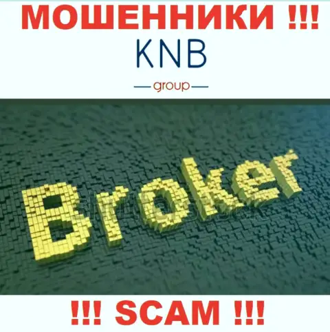 Сфера деятельности незаконно действующей организации KNB-Group Net - это Брокер