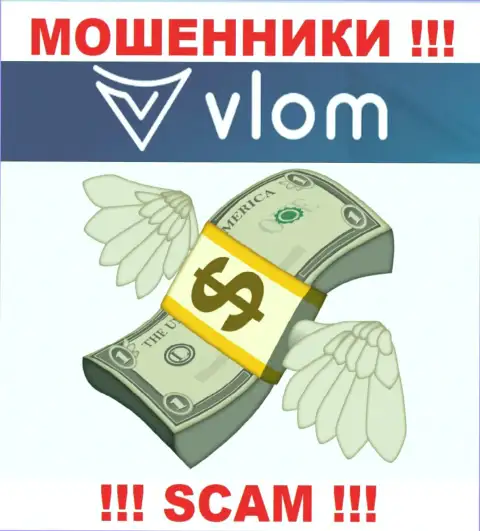 Лохотрон Vlom Ltd работает лишь на прием вкладов, с ними Вы абсолютно ничего не заработаете