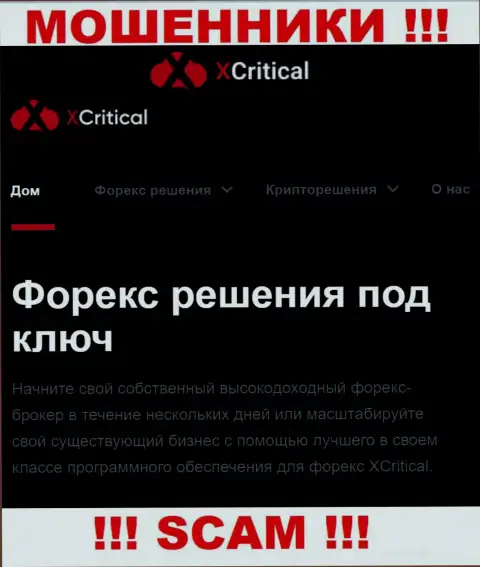 XCritical - это сомнительная компания, род работы которой - ФОРЕКС