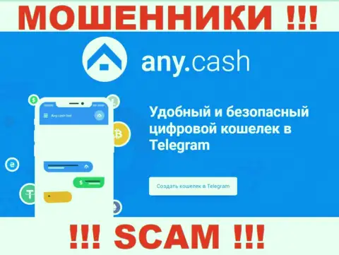 Ани Кеш - это internet-мошенники, их работа - Виртуальный кошелек, направлена на кражу вложений доверчивых клиентов